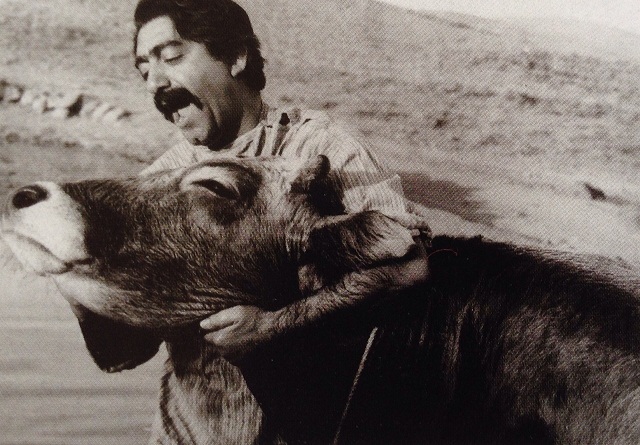 Gaav [La Vaca, 1969], de Dariush Mehrjui, estableció la tradición de la crítica sutil y el humanismo irónico que ha caracterizado al cine iraní antes y después de la revolución islámica.